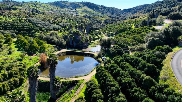 drone / aerial view with a water and mountain view