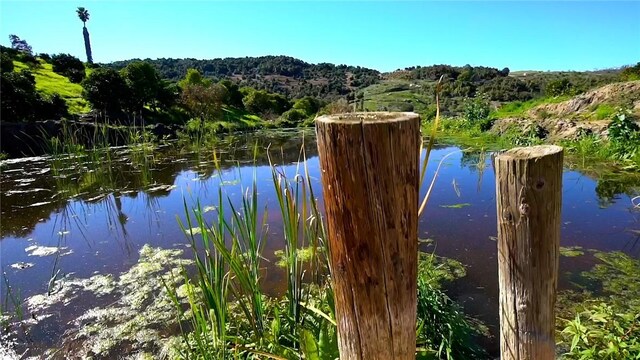 water view