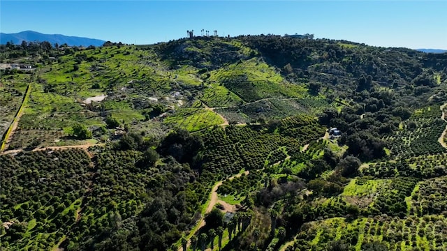 birds eye view of property featuring a mountain view