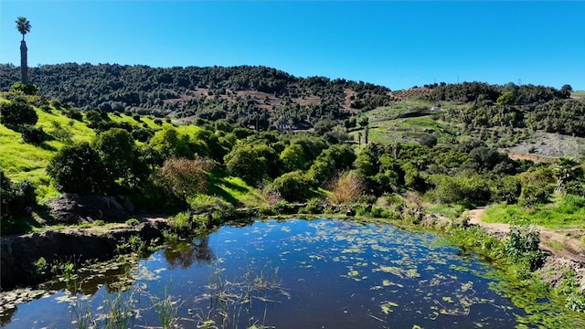 property view of water