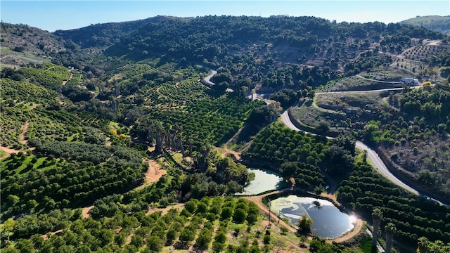 aerial view with a mountain view