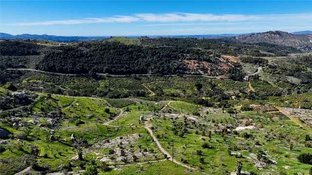 drone / aerial view with a mountain view