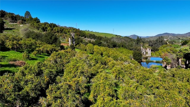 drone / aerial view featuring a water and mountain view