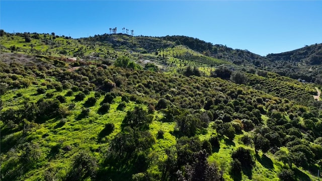 view of mountain feature