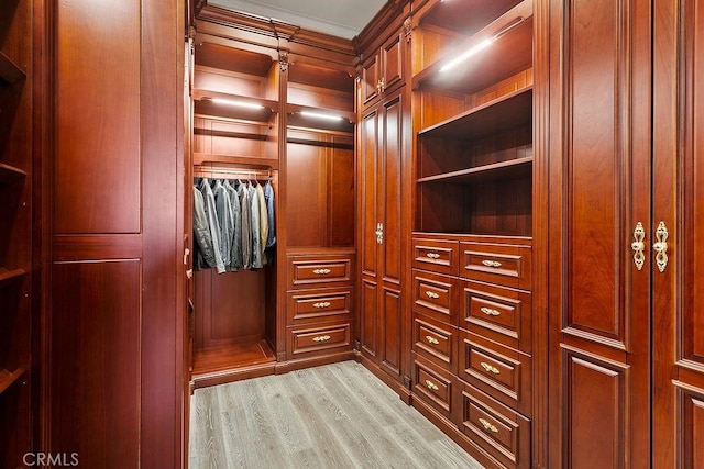 walk in closet with light wood-type flooring