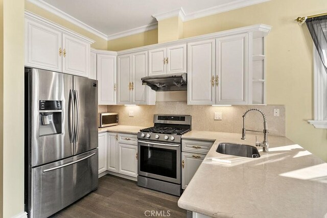 kitchen featuring white cabinetry, sink, backsplash, stainless steel appliances, and dark wood-type flooring