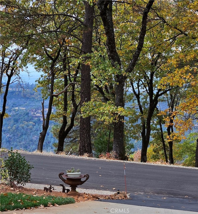 view of road