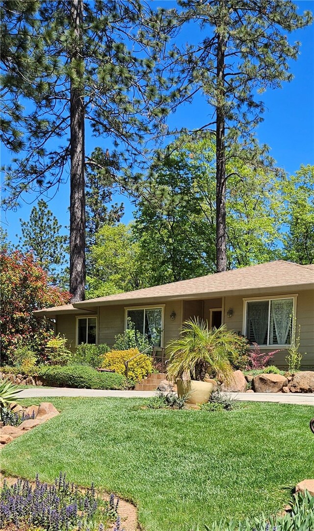 ranch-style house featuring a front lawn