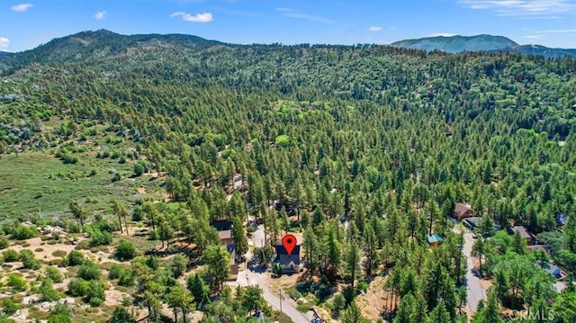 drone / aerial view featuring a mountain view