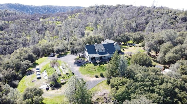 drone / aerial view