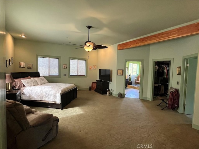 bedroom featuring a spacious closet, ceiling fan, a closet, and multiple windows