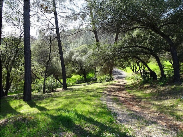 view of nature