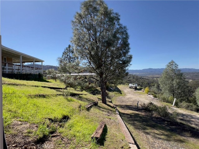 7435 Live Oak Dr, Kelseyville, CA 95451 - photo 48