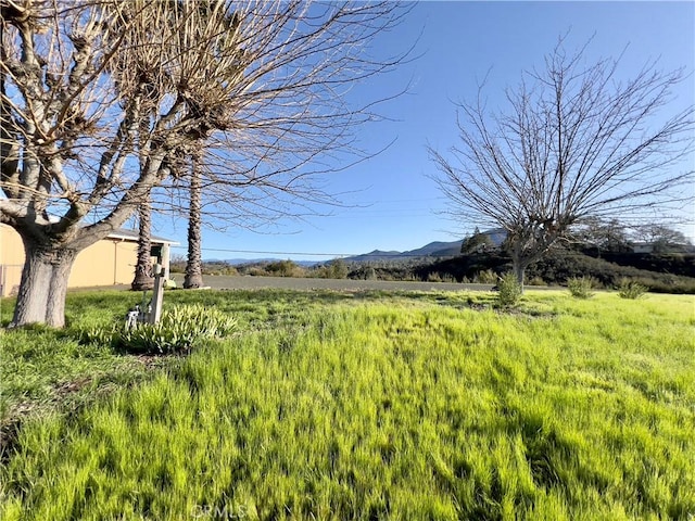 view of yard with a rural view and a mountain view