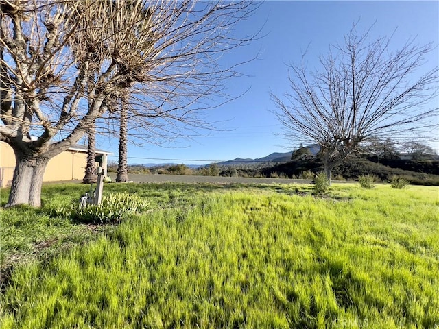 7435 Live Oak Dr, Kelseyville, CA 95451 - photo 56