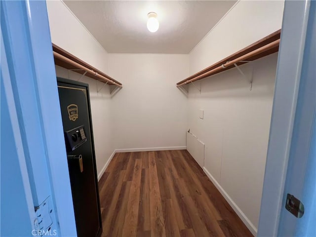 spacious closet featuring dark wood-type flooring