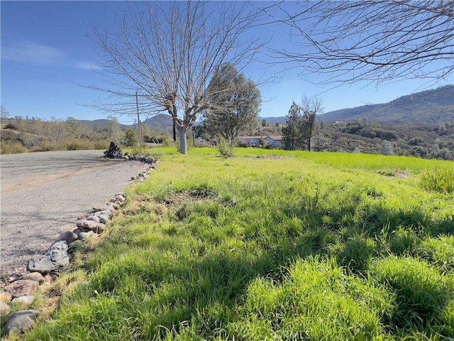 view of yard with a rural view and a mountain view