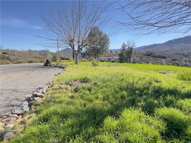 7435 Live Oak Dr, Kelseyville, CA 95451 - photo 37