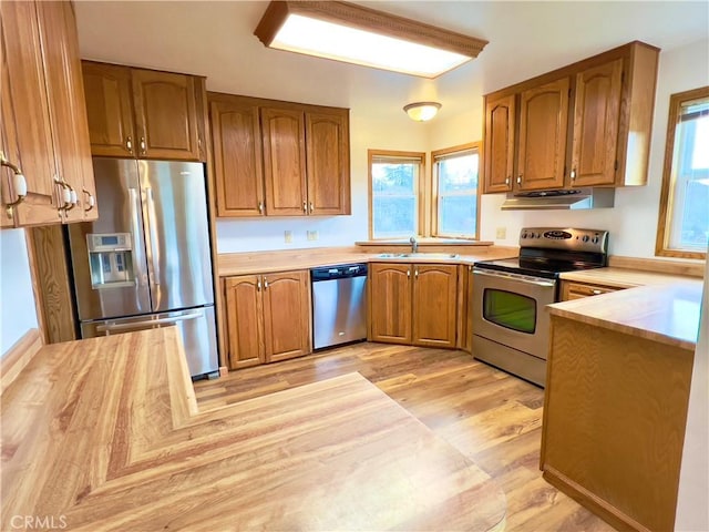 kitchen with light wood-type flooring, appliances with stainless steel finishes, and sink