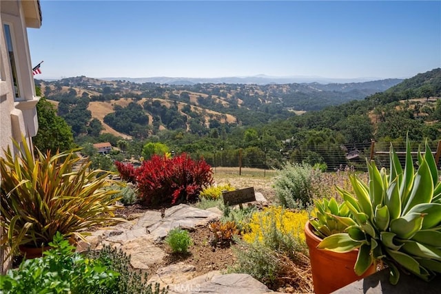 view of yard featuring a mountain view