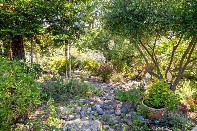 14600 El Monte Rd, Atascadero, CA 93422 - view of nature