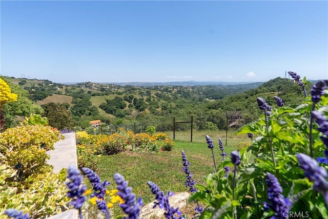 14600 El Monte Rd, Atascadero, CA 93422 - view of yard featuring a forest view