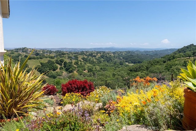 14600 El Monte Rd, Atascadero, CA 93422 - mountain view with a heavily wooded area