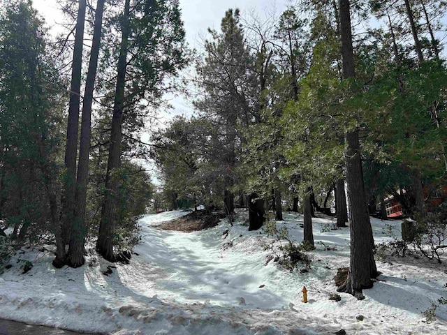 Listing photo 3 for 8 Saunders Meadow Rd, Idyllwild CA 92549