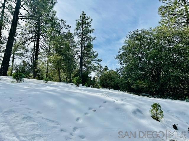 8 Saunders Meadow Rd, Idyllwild CA, 92549 land for sale