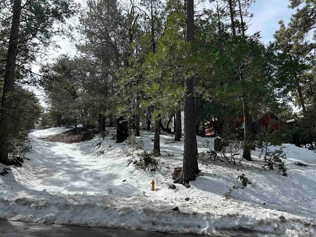 Listing photo 2 for 8 Saunders Meadow Rd, Idyllwild CA 92549