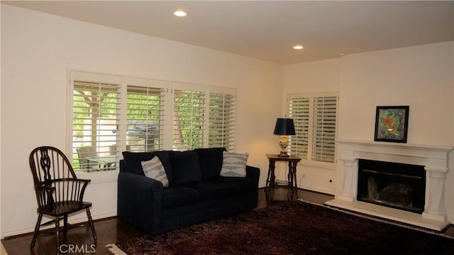 living room featuring dark wood-type flooring