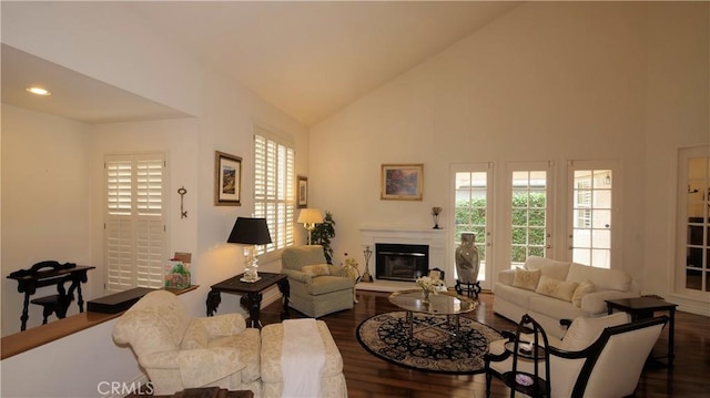 living room with high vaulted ceiling, a healthy amount of sunlight, and dark hardwood / wood-style floors