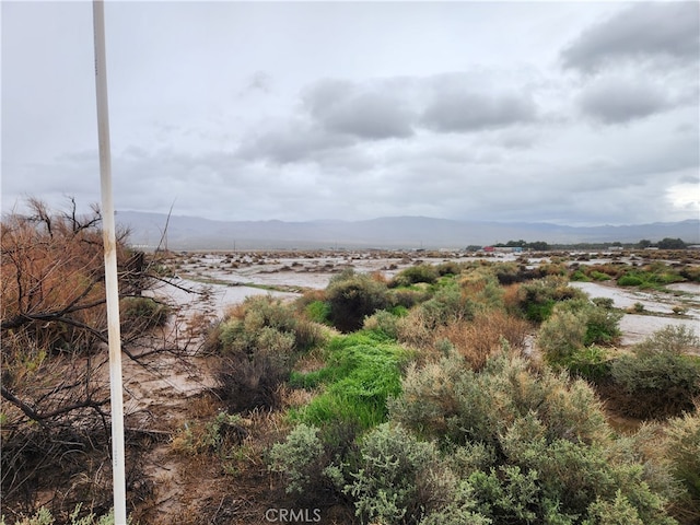 20AC Morgan Ln, Newberry Springs CA, 92356 land for sale