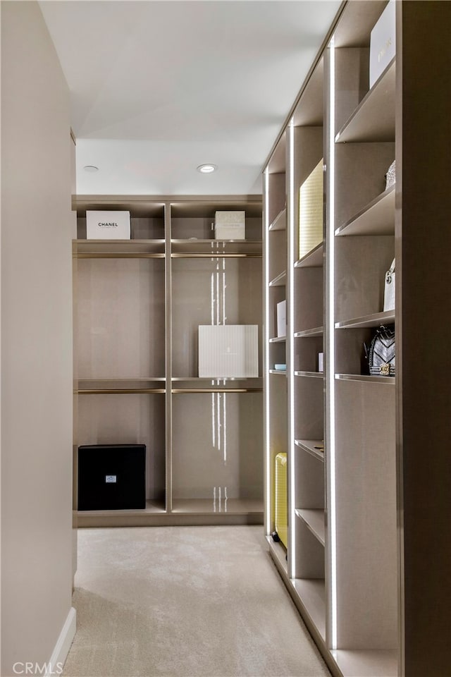 spacious closet with carpet