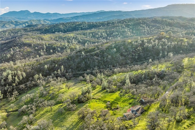 bird's eye view with a mountain view