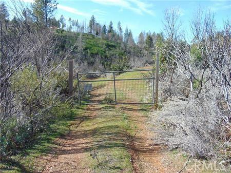 145 Golden Hawk Ln, Oroville, CA 95965 - photo 16