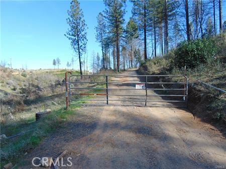 145 Golden Hawk Ln, Oroville, CA 95965 - photo 9