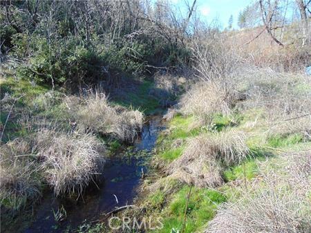 145 Golden Hawk Ln, Oroville, CA 95965 - photo 22