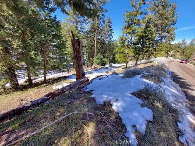 16701 Matterhorn, Alpine Forest, CA 93561 - photo 4