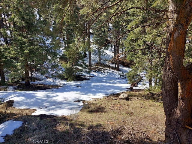 16701 Matterhorn, Alpine Forest, CA 93561 - photo 2