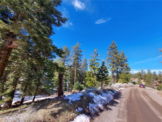 16701 Matterhorn, Alpine Forest, CA 93561 - photo 5