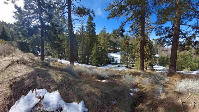 16701 Matterhorn, Alpine Forest, CA 93561 - photo 3