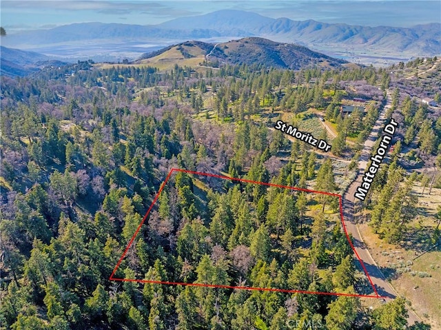 16701 Matterhorn, Alpine Forest, CA 93561 - photo 11