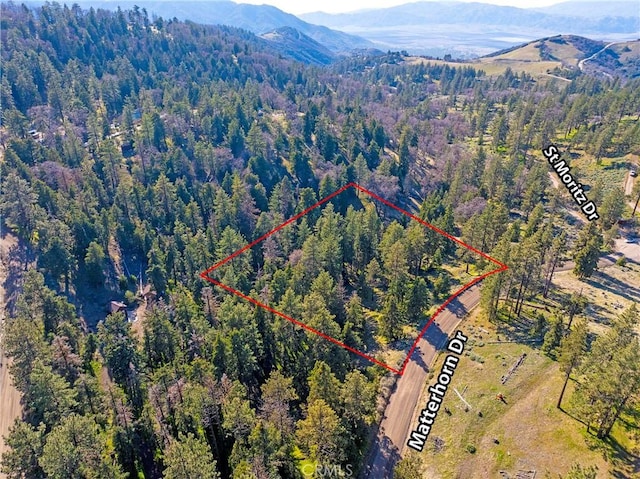 16701 Matterhorn, Alpine Forest, CA 93561 - photo 10