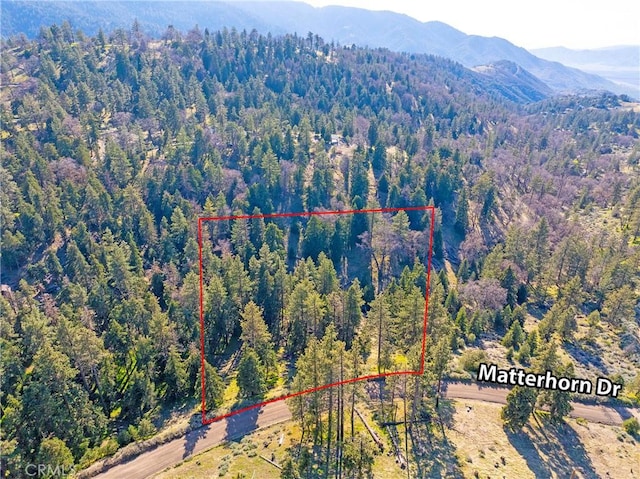 16701 Matterhorn, Alpine Forest, CA 93561 - photo 9