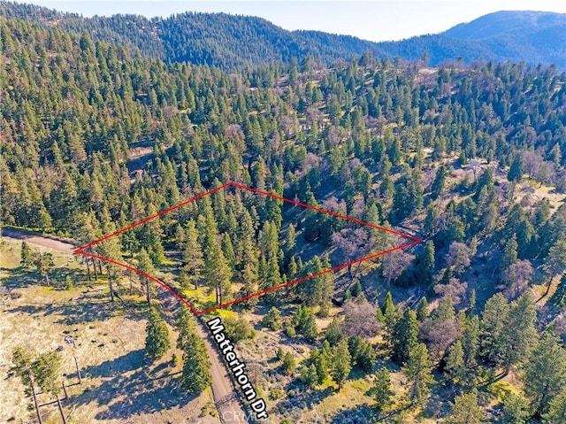 16701 Matterhorn, Alpine Forest, CA 93561 - photo 8