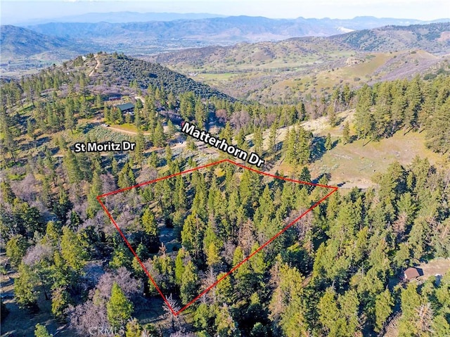 16701 Matterhorn, Alpine Forest, CA 93561 - photo 12