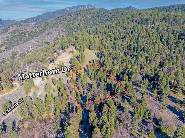 16701 Matterhorn, Alpine Forest, CA 93561 - photo 15