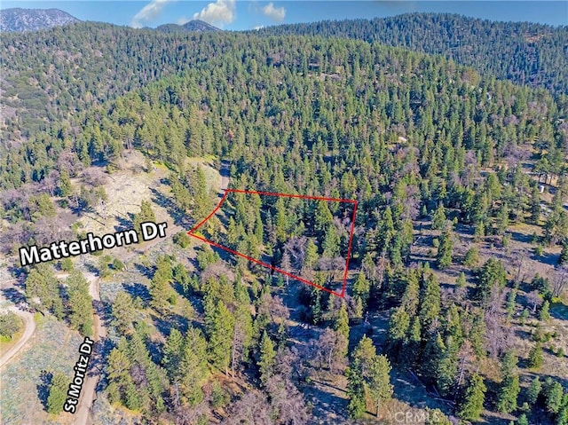16701 Matterhorn, Alpine Forest, CA 93561 - photo 16