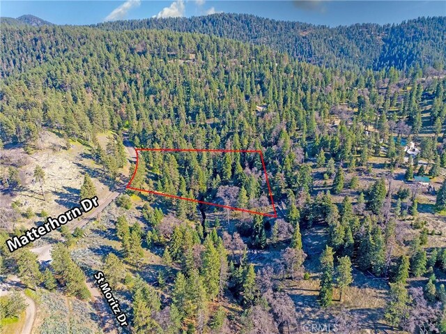 16701 Matterhorn, Alpine Forest, CA 93561 - photo 17
